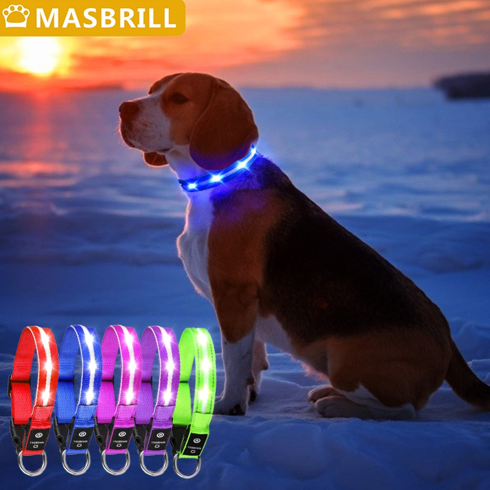 Light Up Dog Collar Waterproof USB Rechargeable