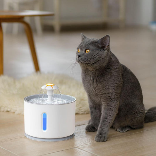 Automatic Pet Cat Water Fountain With LED