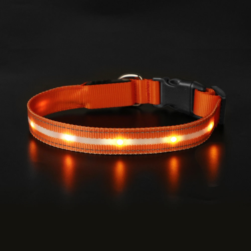 Light Up Dog Collar Waterproof USB Rechargeable