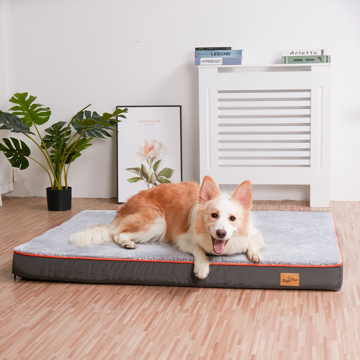 Pet Bed with Removable Washable