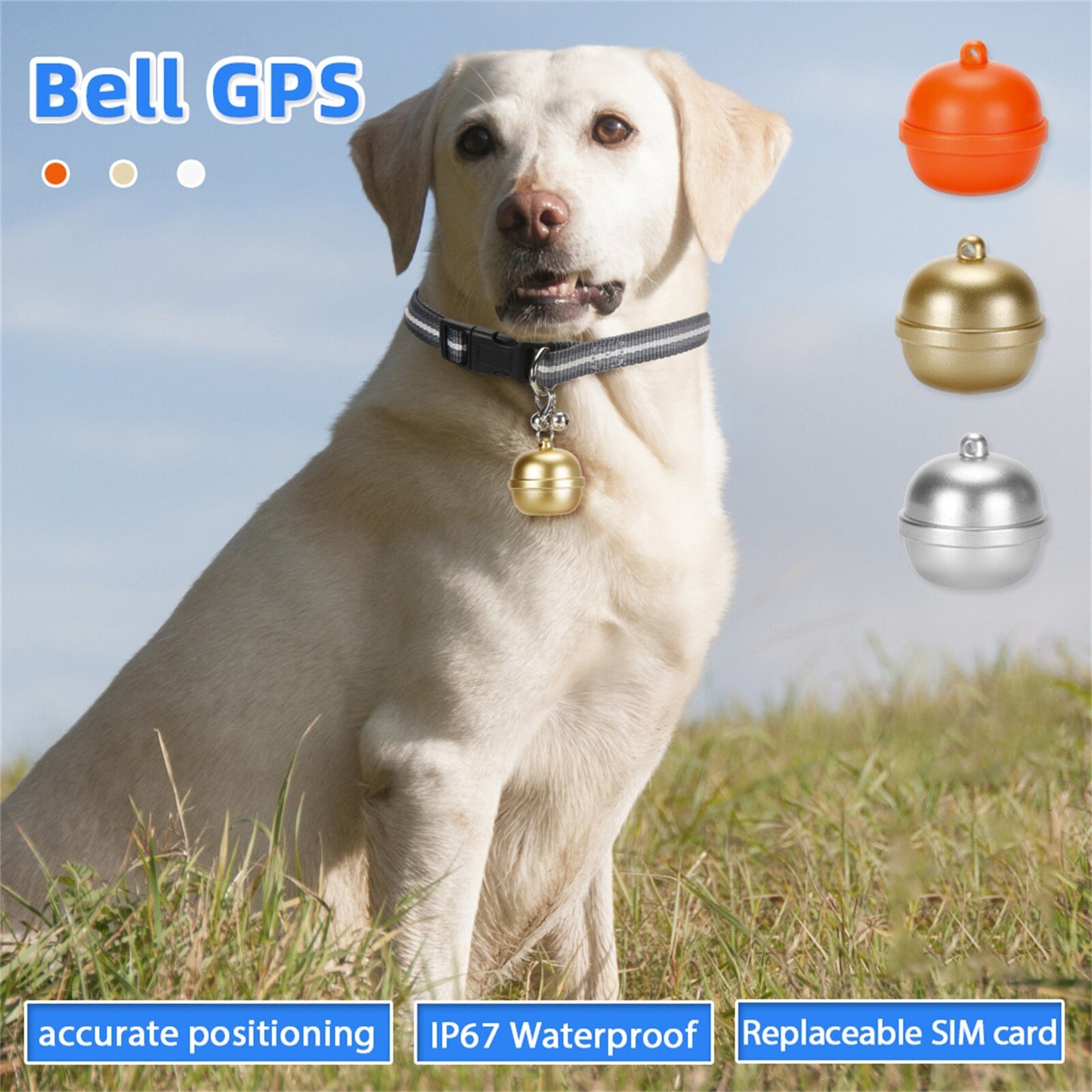 Dog Cat Anti Lost Device Collar