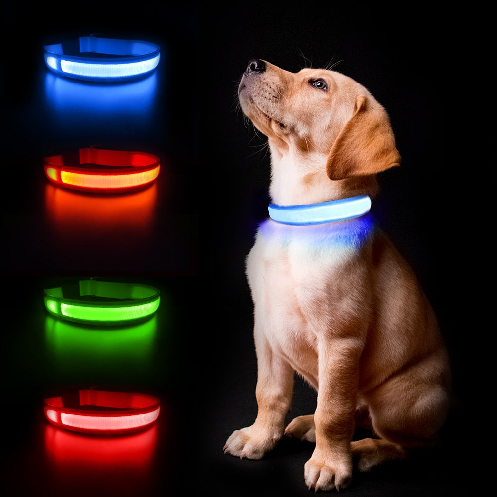 LED Dog Collar Luminous Pet Supplies Dog Collar