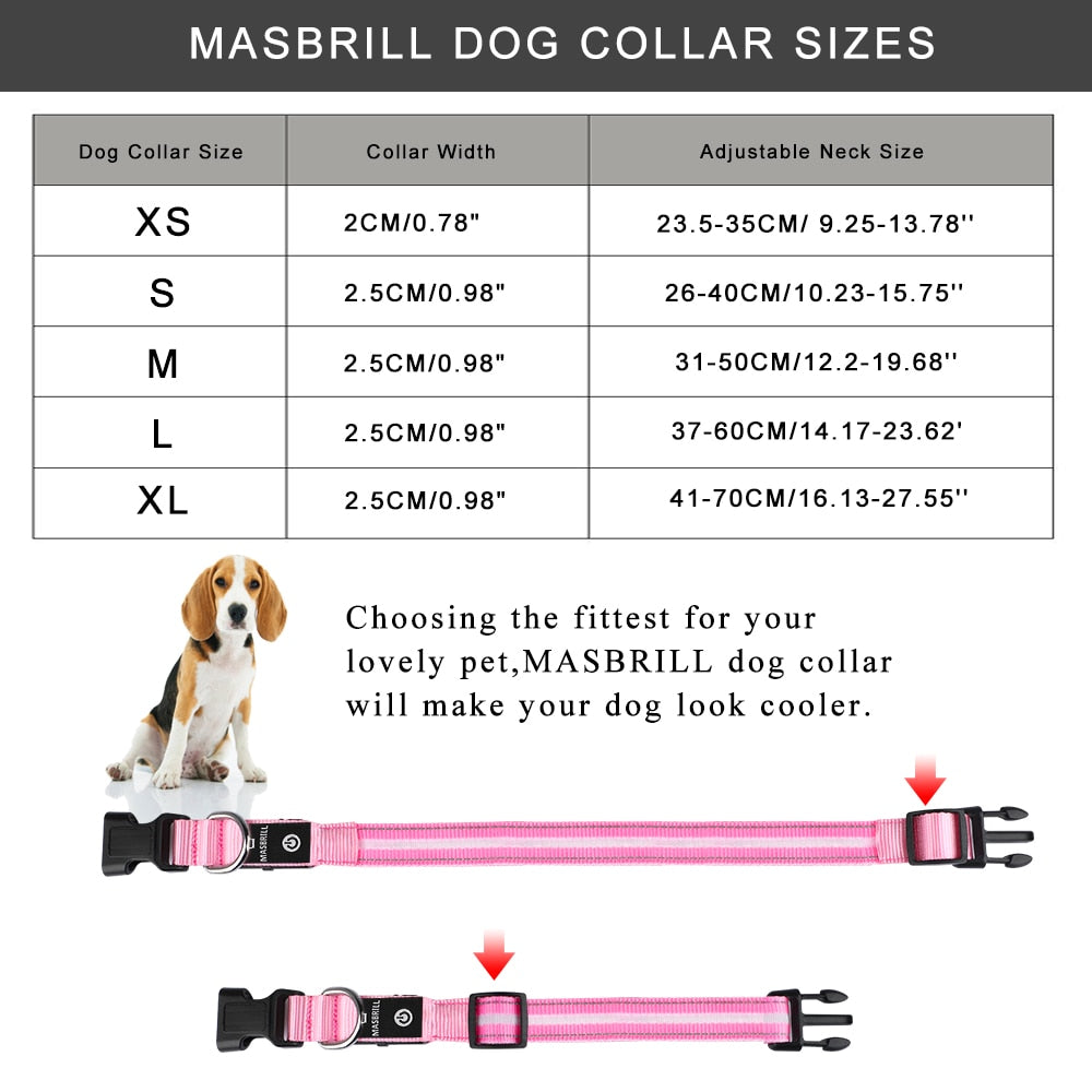 Light Up Dog Collar Waterproof USB Rechargeable