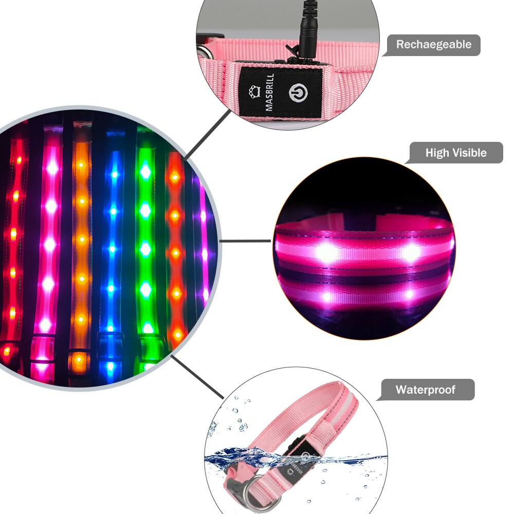 Light Up Dog Collar Waterproof USB Rechargeable