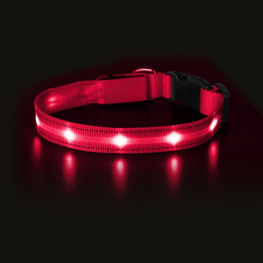 Light Up Dog Collar Waterproof USB Rechargeable