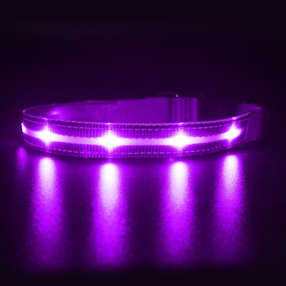 Light Up Dog Collar Waterproof USB Rechargeable