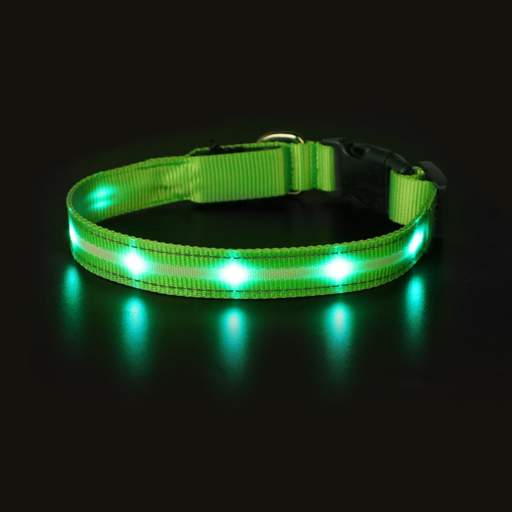 Light Up Dog Collar Waterproof USB Rechargeable