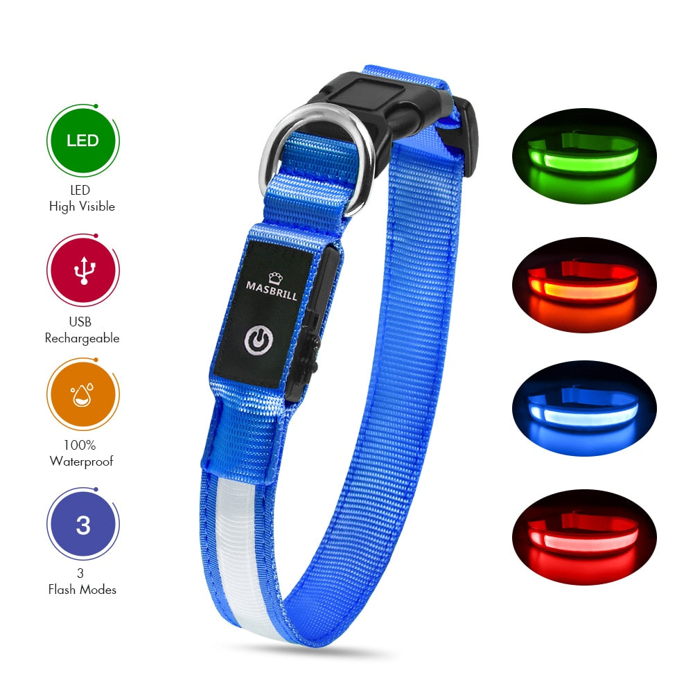 LED Dog Collar Luminous Pet Supplies Dog Collar