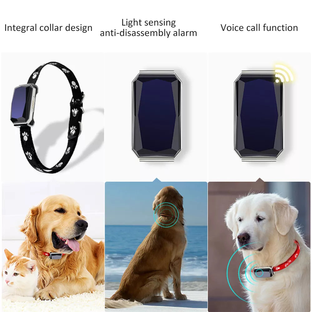 Pet Smart GPS Tracker Collar For Cat and Dog