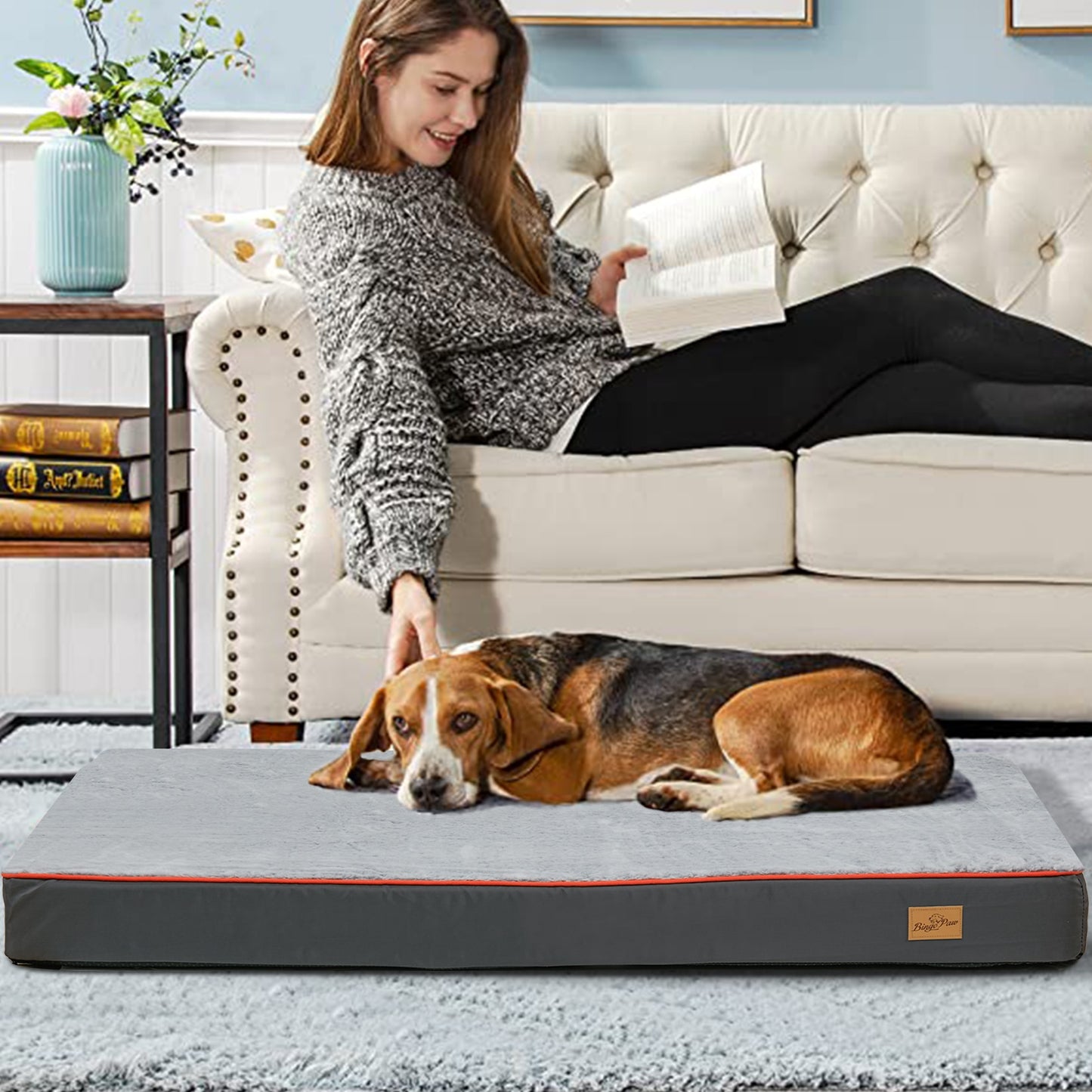 Pet Bed with Removable Washable