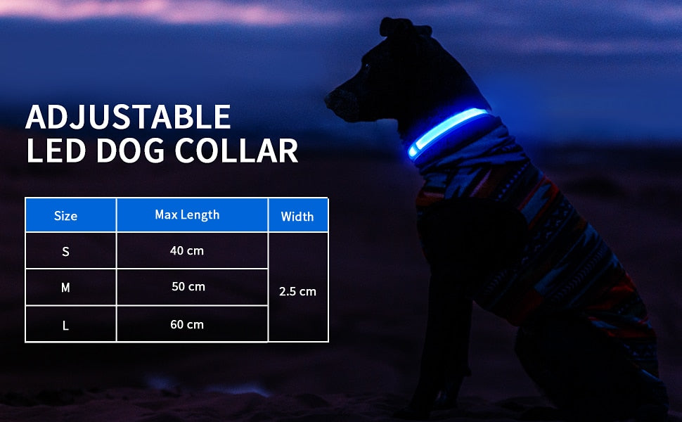 LED Dog Collar Luminous Pet Supplies Dog Collar